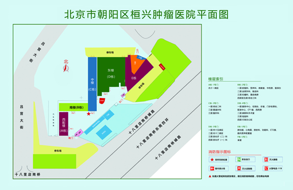 日本抠逼网站入口北京市朝阳区桓兴肿瘤医院平面图